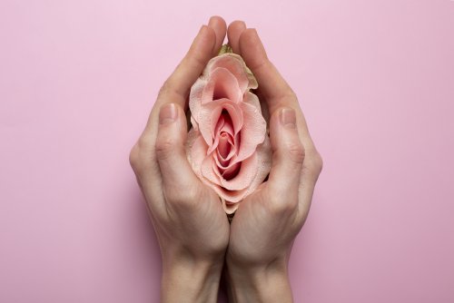 mulher-segurando-rosa-nas-maos-para-visualizacao-do-sistema-reprodutivo.jpg